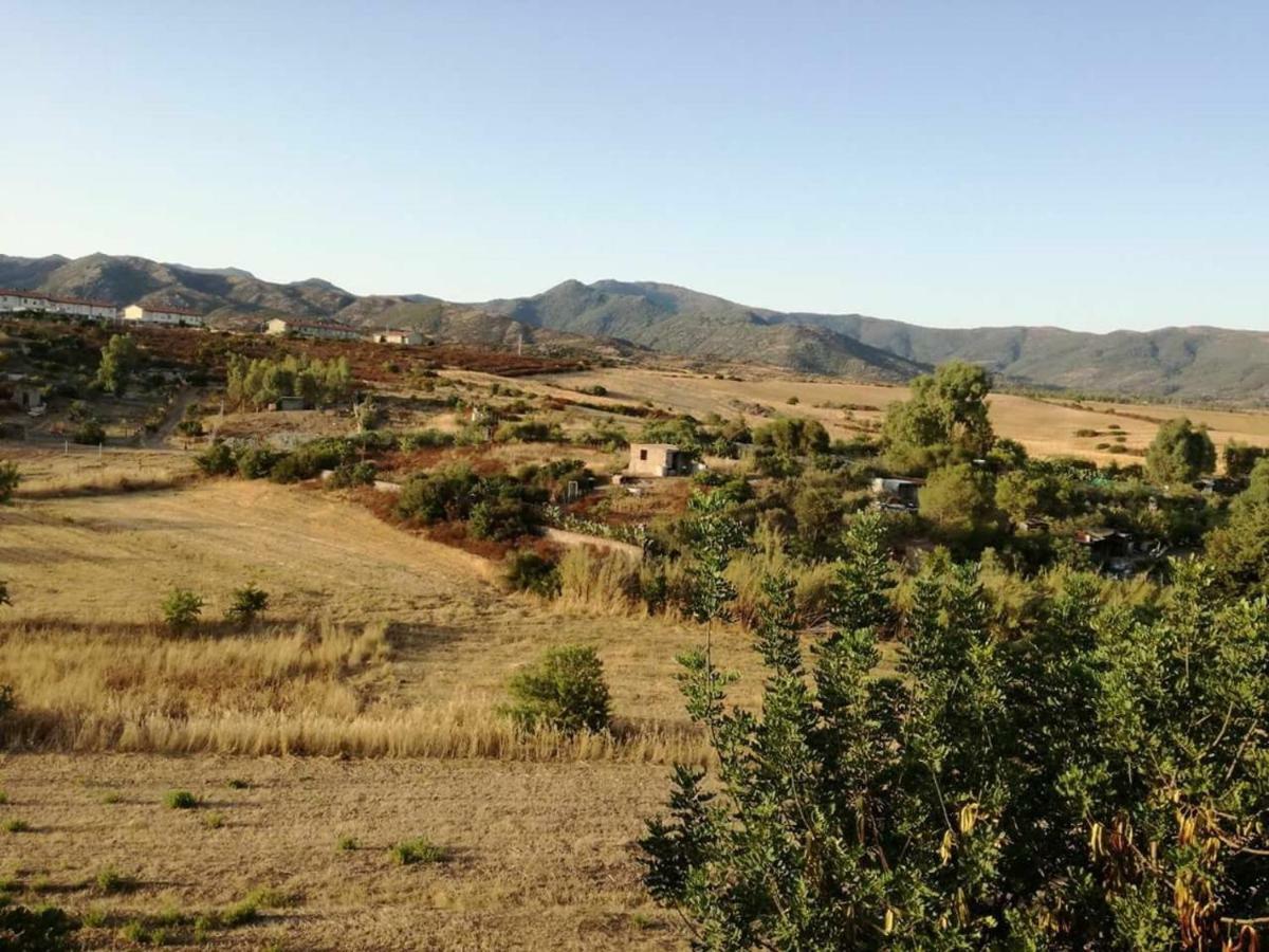 Casa Vacanza Il Mandorlo Domusnovas Luaran gambar