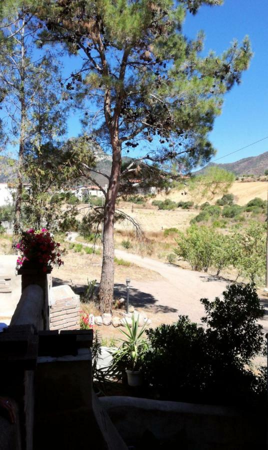 Casa Vacanza Il Mandorlo Domusnovas Luaran gambar